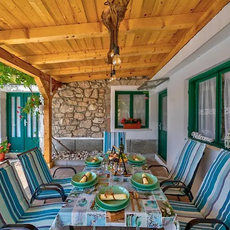 Andelika Hébergement de vacances Drivenik